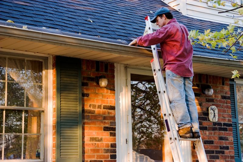 Professional Roofing in Rocky River